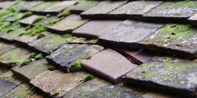 Warley roof repair costs